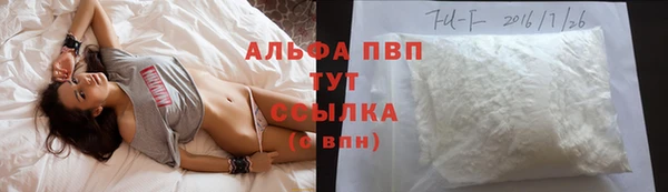 молекула духа Заводоуковск