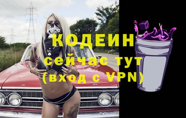 молекула духа Заводоуковск