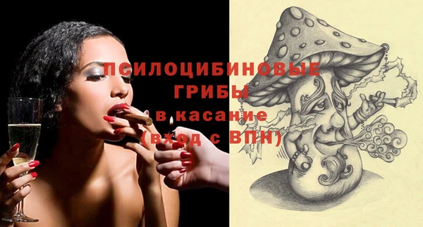 молекула духа Заводоуковск