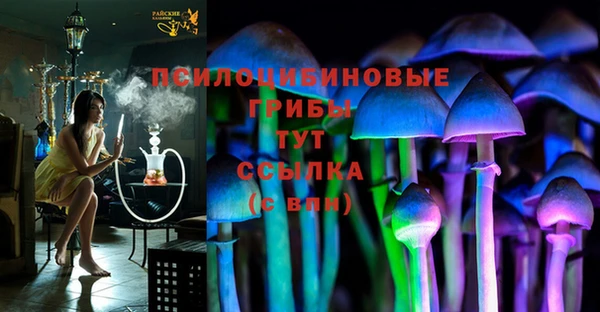 молекула духа Заводоуковск