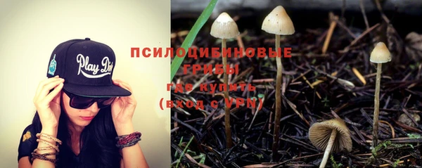 молекула духа Заводоуковск